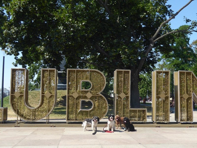 The Great Escape: Lublin to Poznań,&nbsp;Poland