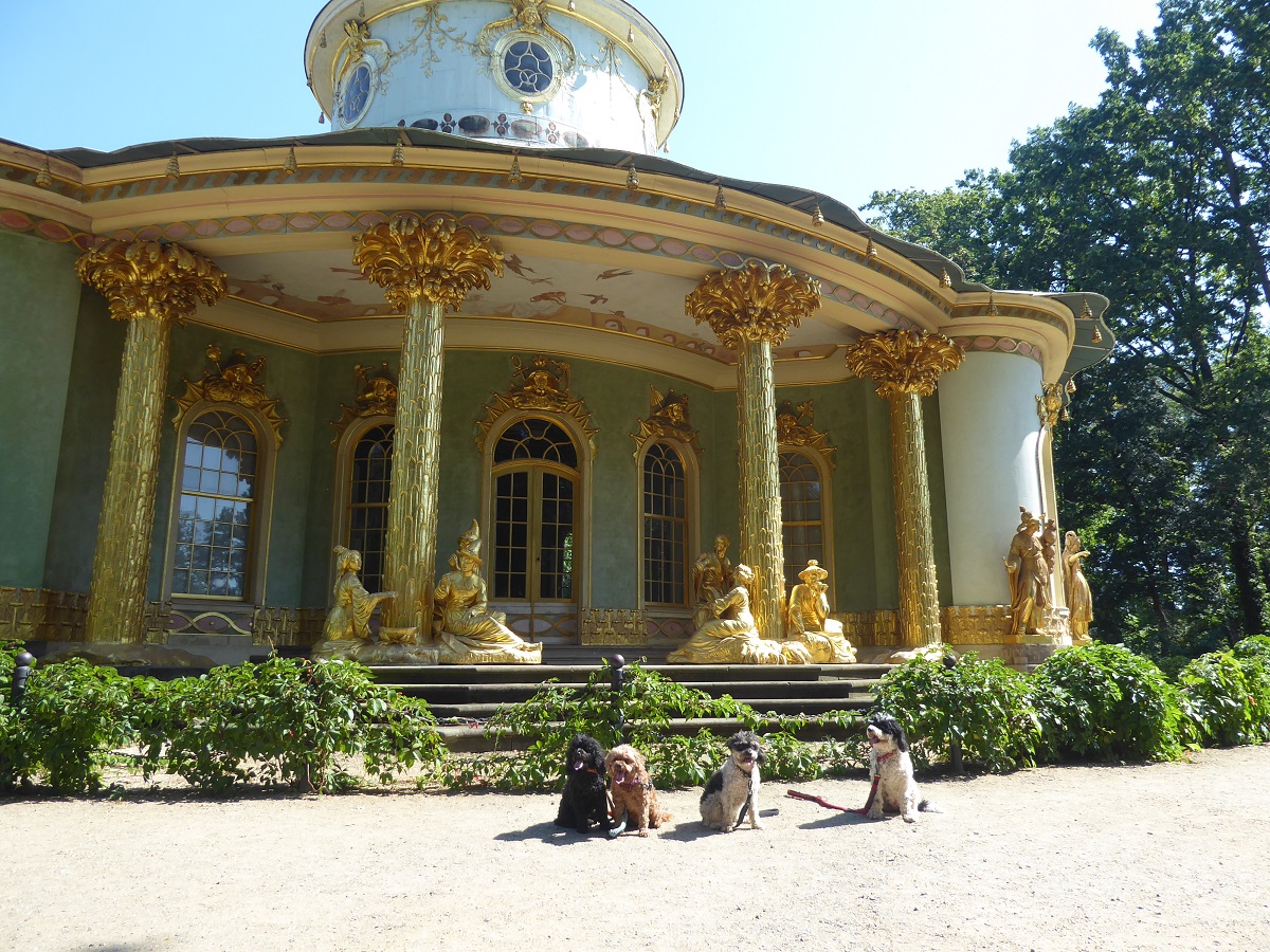 A Potter Around Potsdam,&nbsp;Germany