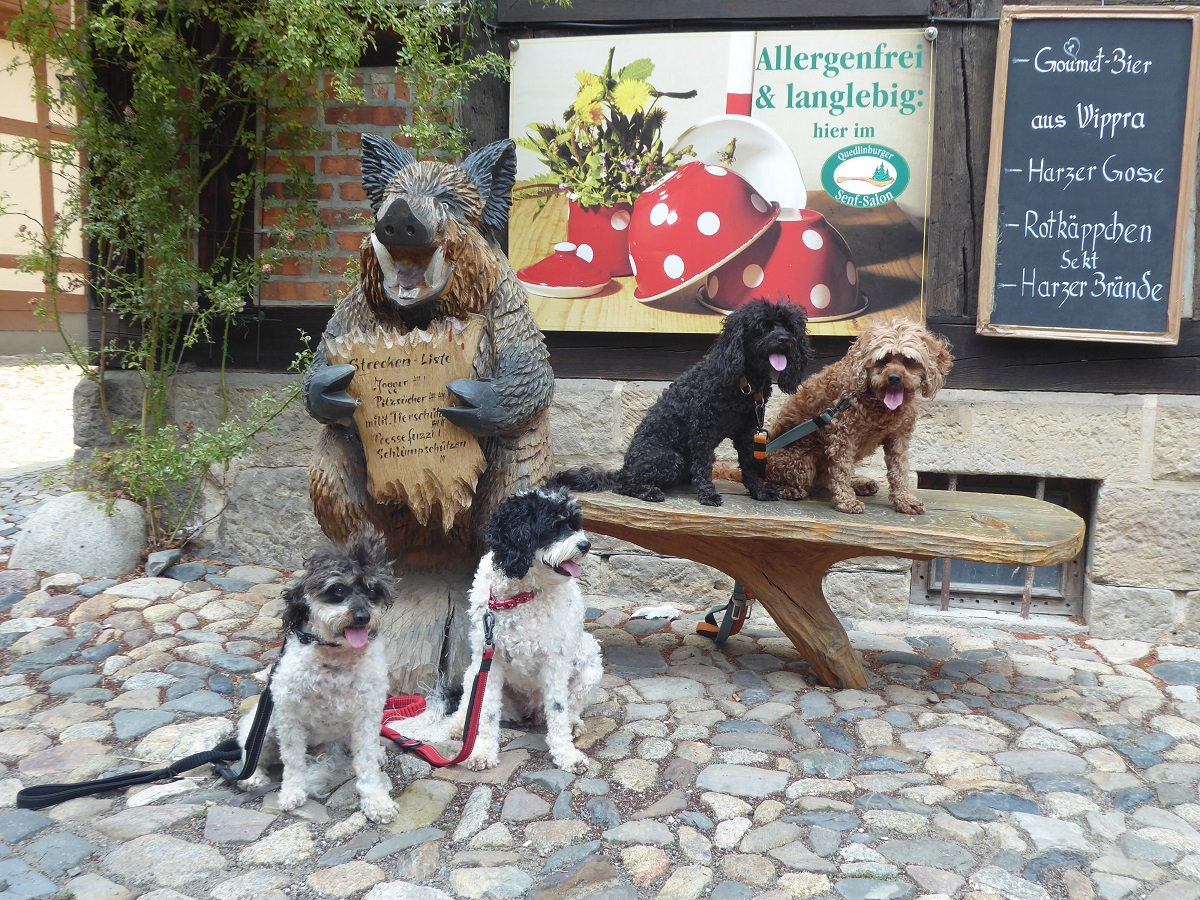 Witches, Wurst & Walpurgisnacht, Harz,&nbsp;Germany