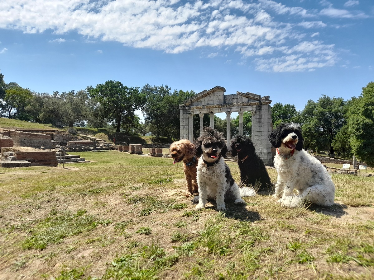 Llogar Pass to Apollonia,&nbsp;Albania