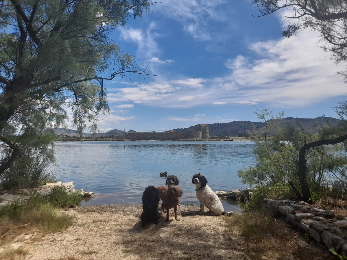 Butrint, Albania:  The Fall of Troy, The Founding of Rome, & A Load of Old&nbsp;Bull