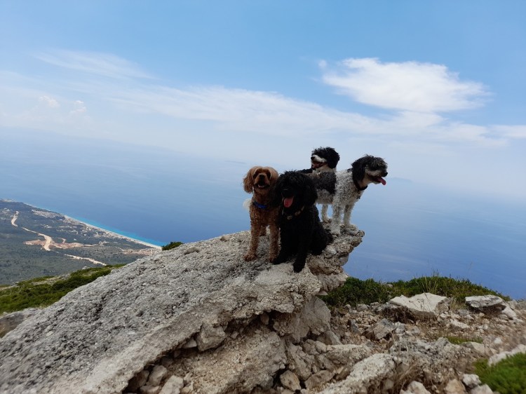 The Fab Four on top of a bunker on the summit of The Llogar Pass in Albania