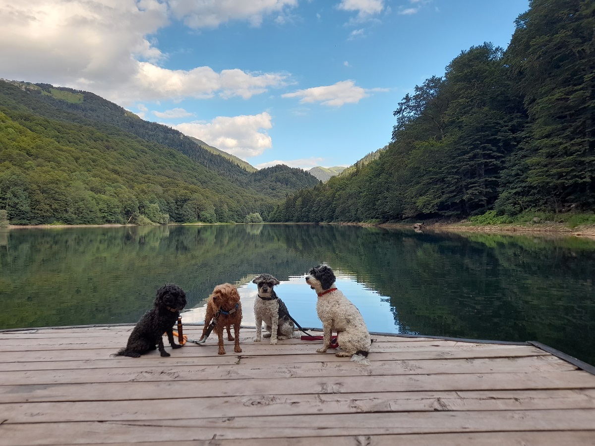 Kosovo to Montenegro