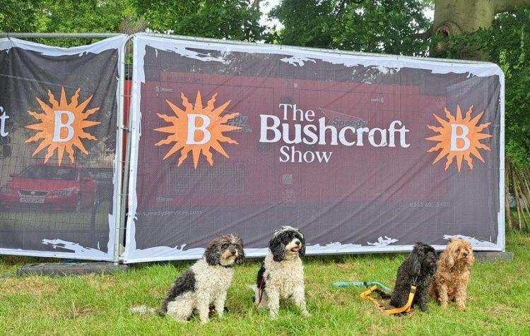 Four dogs sitting in front of a screen bearing the bushcraft show logo