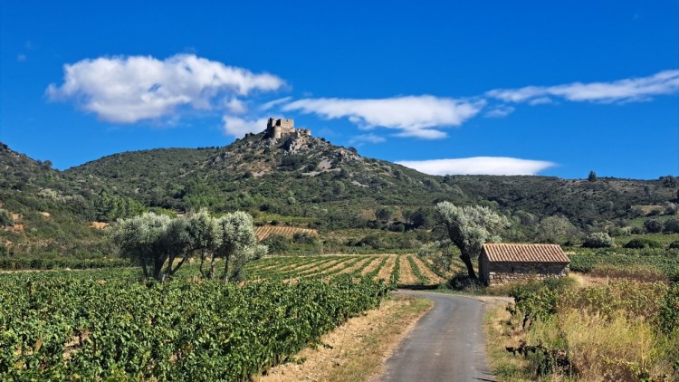 Chateau d'aguilar, a cathar castle perched on top of a hill with the Haut Corbieres vineyards in the foreground
