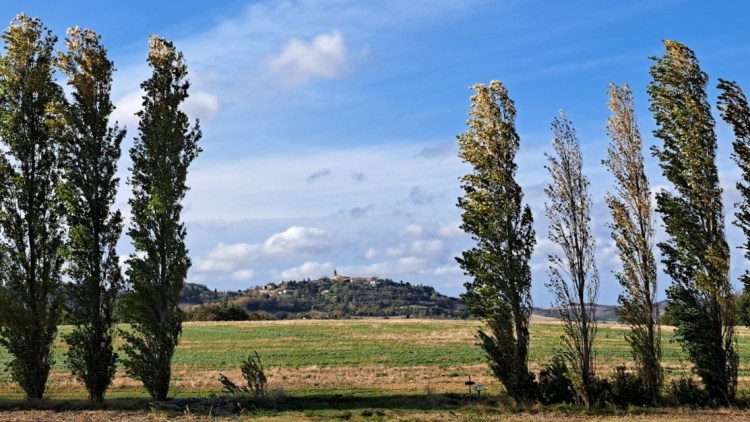 The hilltop city of Fanjeaux viewed between a line of poplar trees