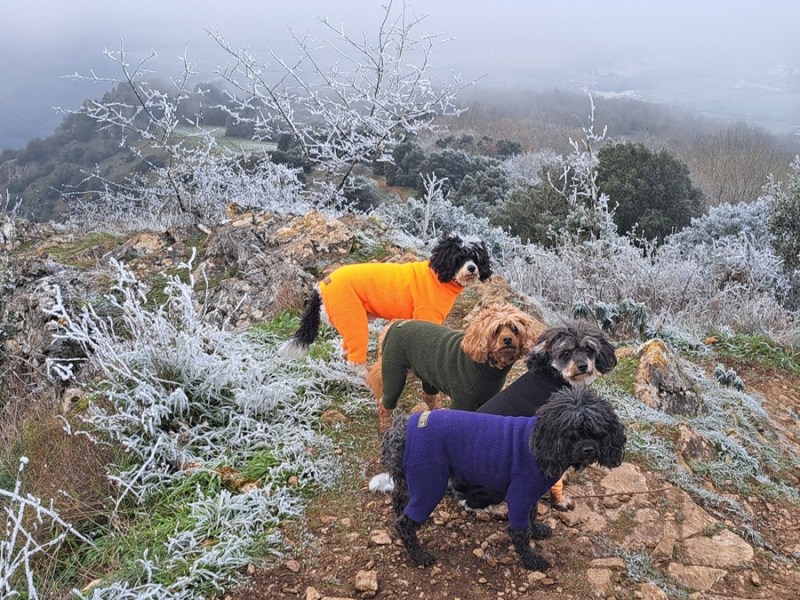 Did You Miss Any Of These? Monthly Round Up January&nbsp;2026