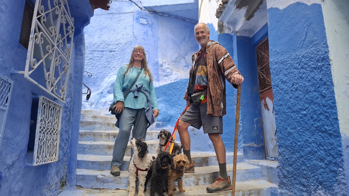 Jackie & Mark Lambert on a blue staircase with The Fab Four dogs in Chefchaouen, Morocco